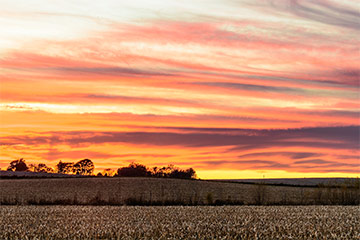 A sunset view of a field in Iowa
