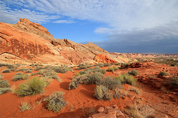 A sandy landscape in New Mexico